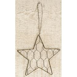 Chicken Wire Star Ornament